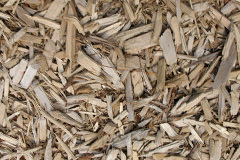 biomass boilers Smallrice