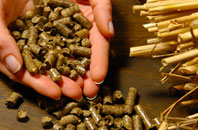 free Smallrice biomass boiler quotes